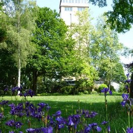 "Hochzeitswiese" mit Turm