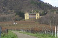 Edenkoben_Schloss_Villa_Ludwigshoehe_44d0076371